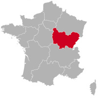 Dalmata tenyésztők és kiskutyák Bourgogne-Franche-Comté-ban,