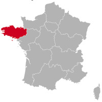 Golden Retriever tenyésztők és kölykök Bretagne-ban,