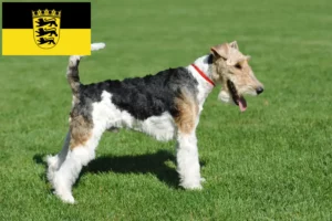 Read more about the article Foxterrier tenyésztők és kölykök Baden-Württembergben