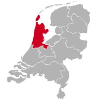 Dalmata tenyésztők és kiskutyák Észak-Hollandiában,