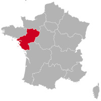 Golden Retriever tenyésztők és kölykök Pays de la Loire-ban,