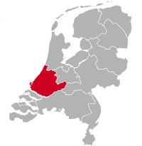Golden Retriever tenyésztők és kiskutyák Dél-Hollandiában,
